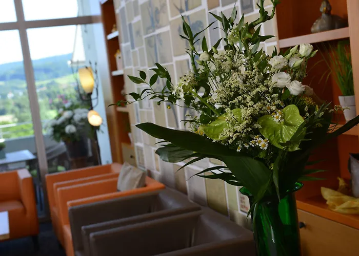 Trip Badsoden-salmuenster Bad Soden-Salmünster